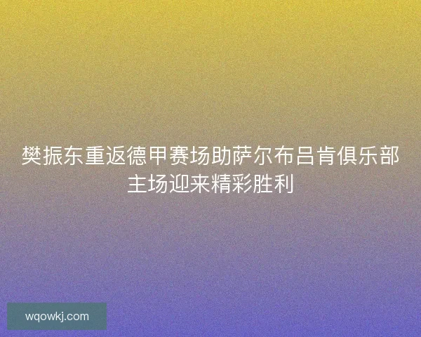 樊振东重返德甲赛场助萨尔布吕肯俱乐部主场迎来精彩胜利